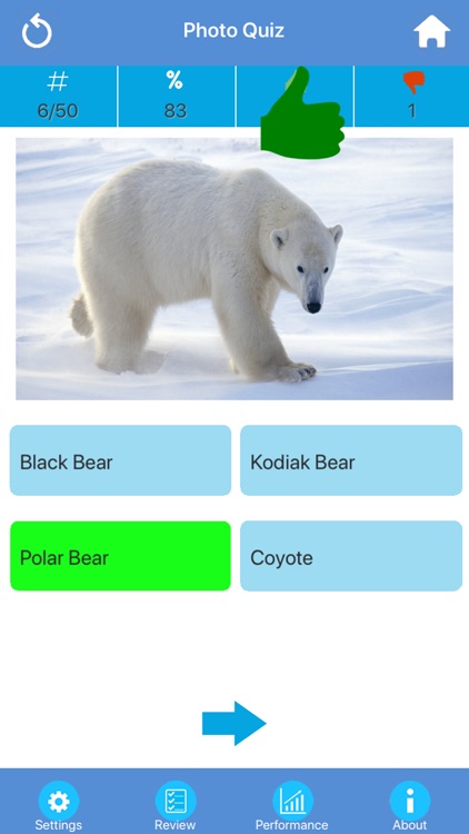 Wild Animals Quiz screenshot-3