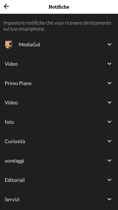 Mediagol Palermo News screenshot 4