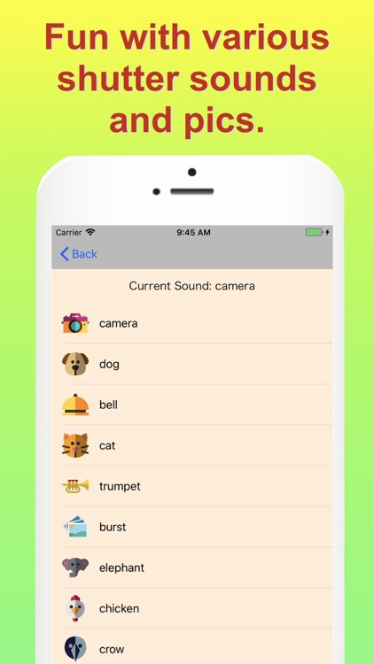 No save photo camera app screenshot-4
