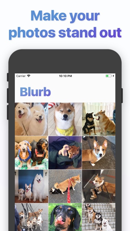 Blurb for Instagram