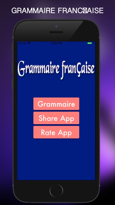 Grammaire Française 2018 screenshot 3