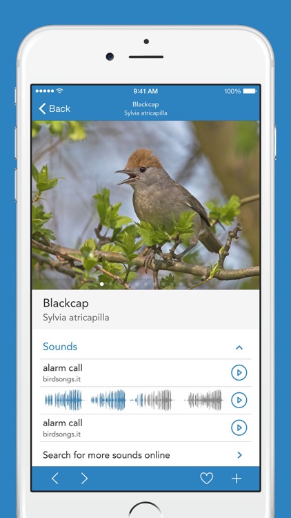 iKnow Birds 2 PRO - Europe