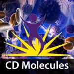 BioLegend CD Posters