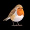 Collins British Bird Guide takes 262 of the most commonly seen British & Irish bird species from the award-winning Collins Bird Guide and presents them in the same easy-to-use practical format