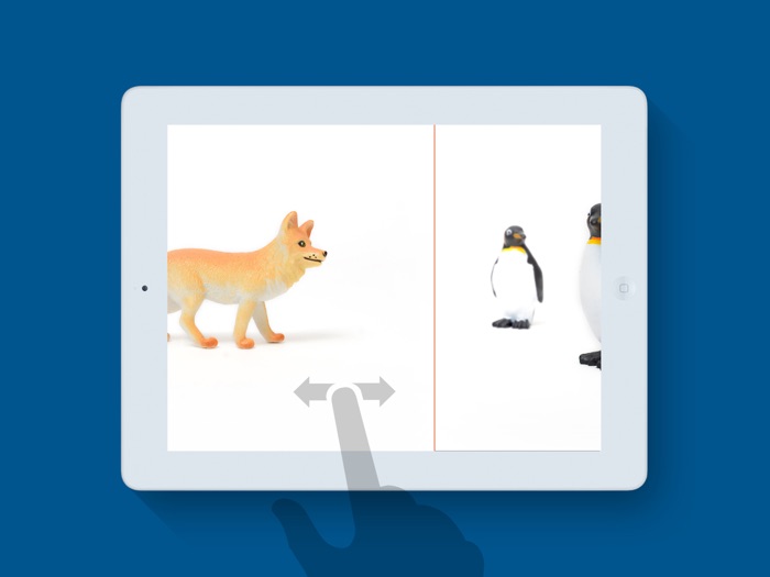 Animals - Infant photo book