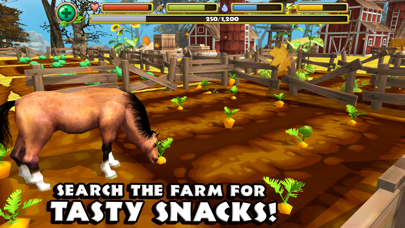 Wild Horse Simulator Screenshot 3