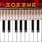 Hohner Piano Mini-Acc...