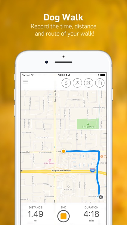 Dog Walk - Track Your Dog's Daily Walks! screenshot-0