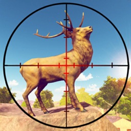 Wild Animal Hunting Season 3D