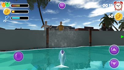 Dolphin show dolphin games 3D screenshot 4