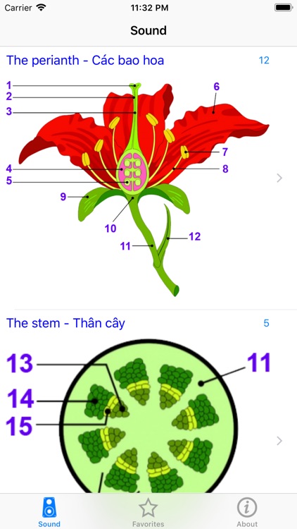 Structure of flowers