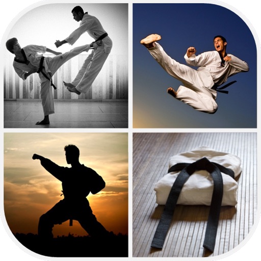 Martial Arts Wallpaper By Cao Thanh Son