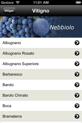 Vini Italiani - Piemonte - náhled