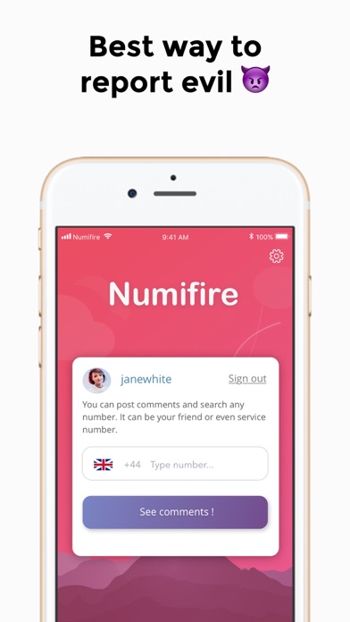 Numifire screenshot 3