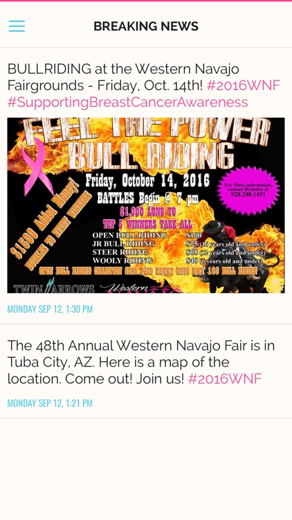 Western Navajo Fair