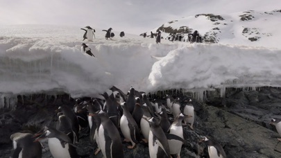 Tellus VR Antarctica screenshot 4