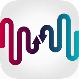 STAMP Transfer Music Playlists