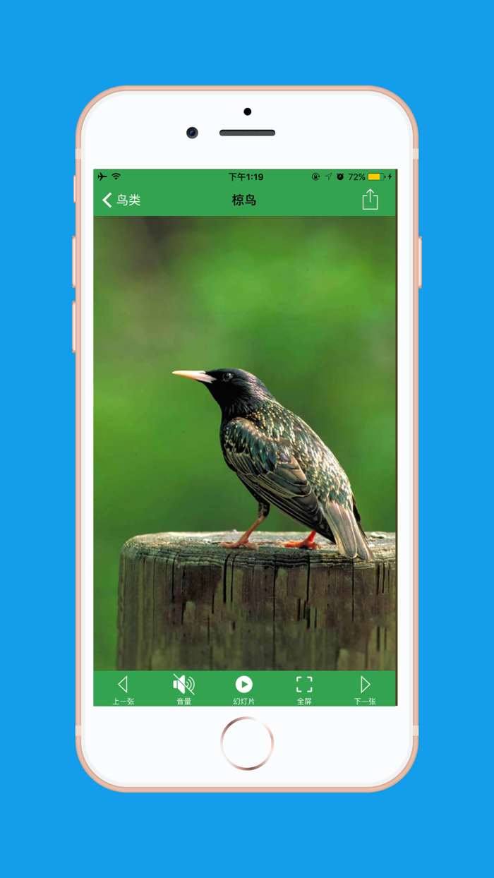 AnimalSounds - 动物叫声