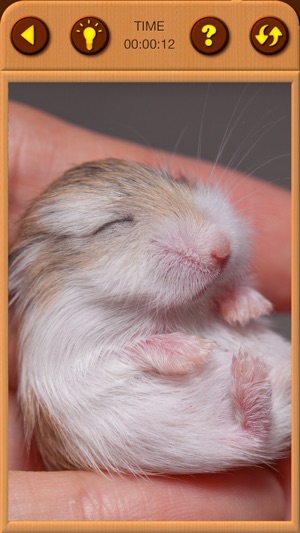 Hamster Jigsaw Puzzle Games(圖6)-速報App