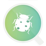 InsectSnap - Insect Identifier