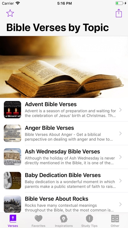 Holy Bible Verses!