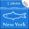 Fishing Lakes and Species application for New York Lakes