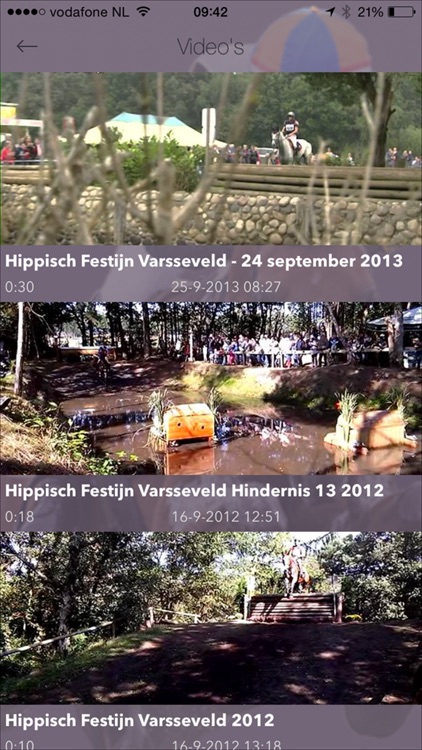 Hippischfestijn