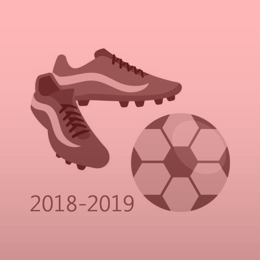 English Football 2018-2019 icon