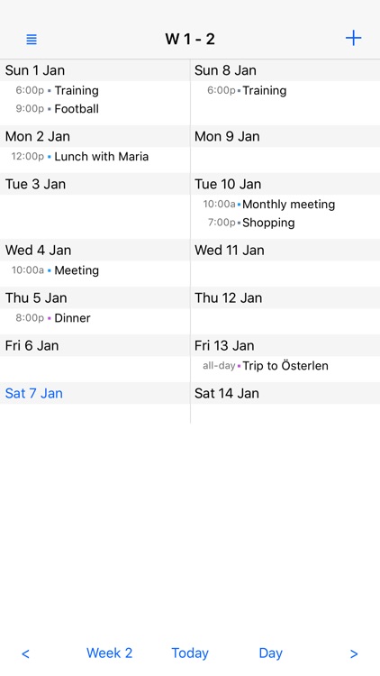 Month View Calendar