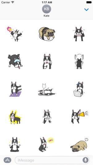 Pumpkin the Boston Terrier(圖2)-速報App