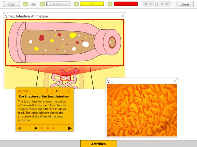 Digestion(圖4)-速報App