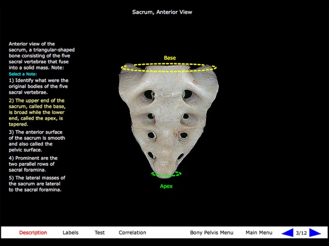 Gross Anatomy of the Skeleton(圖7)-速報App