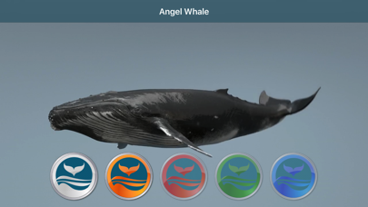 Angel Whale screenshot 4