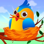 Build Nest Help Homeless Bird