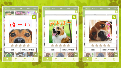 いぬスタンプ～かわいい犬のスタンプアプリ～ screenshot 3