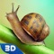 Live the life of a giant land snail