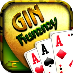 Gin Rummy Pro