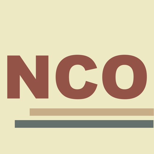 Army NCO Guide