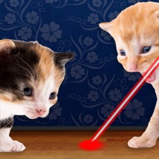 Activities of Laser Pointer for Cat