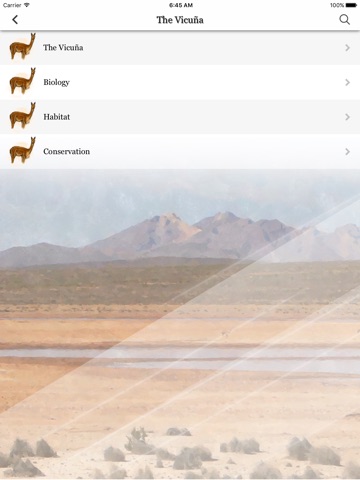 Vicuña Royale screenshot 3