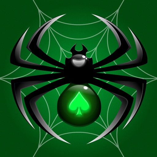 Spider Solitaire #