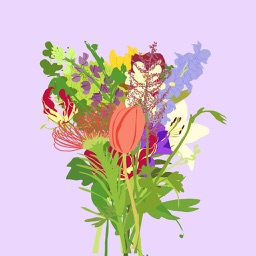 Sticky Flowers: Favorites