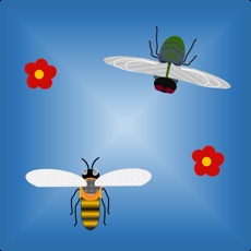 Activities of Bee-vs-Fly