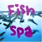 Die neue Fish-Spa App