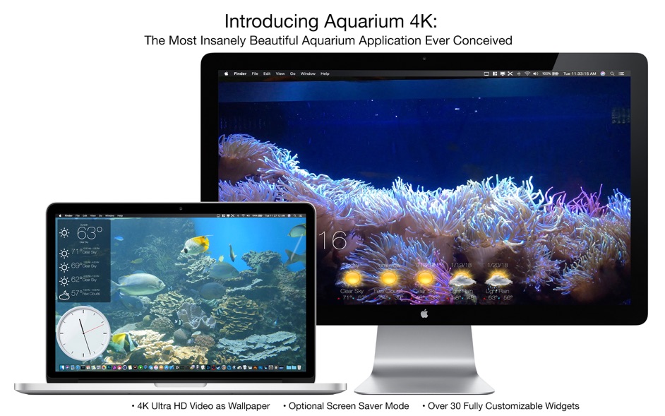Aquarium 4K 1.0.1  UltraHD wallpaper and screensaver