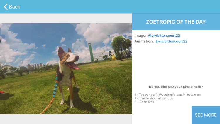 Zoetropic - Photo in motion screenshot-3