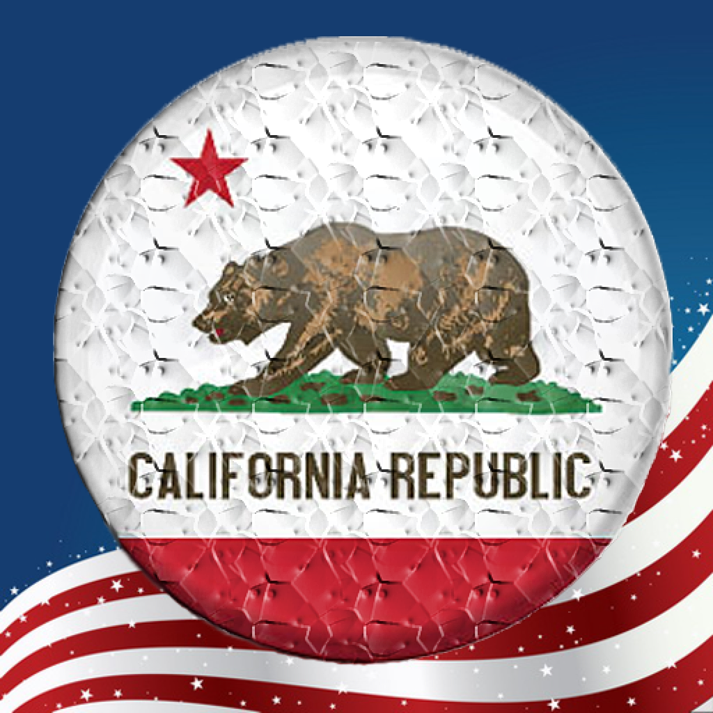 California Laws (CA Code) App Icon
