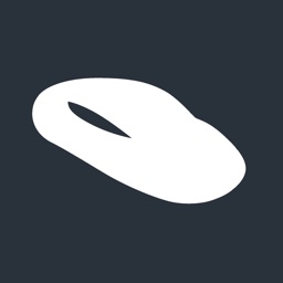 Key for Tesla Apple Watch App