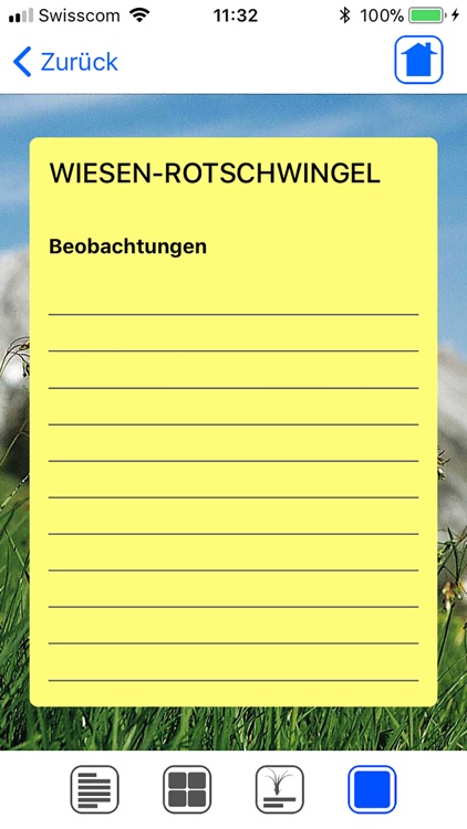 Wiesengräser leicht erkennen screenshot-4