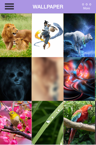 Wallpaper - Animal,Bird,Funny - náhled